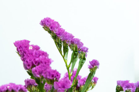 Startingの写真素材