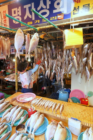 Jagalchi market Busanのeditorial素材
