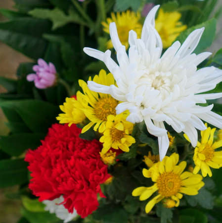 Bouquet prepared for a grave in Japanの写真素材