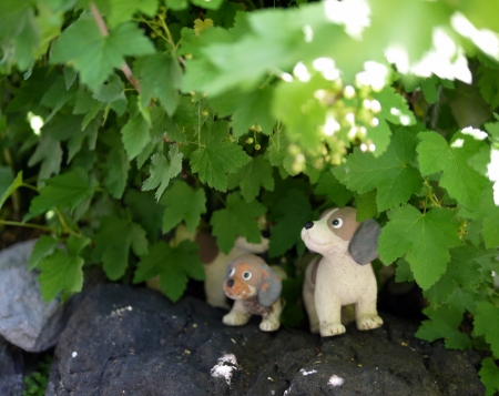 A Asa A A A A Aœa A A A C Royalty Free Images Photos And Pictures