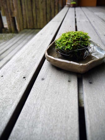 moss-grown ball