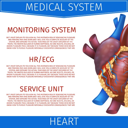 Realistic Vector Illustration Medical System Heart. Banner Image Projection Anatomy Heart. Poster for Detailed Study Structure Cardiovascular System Organism. Isolated on White Backgroundのイラスト素材
