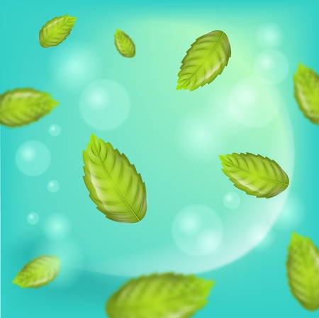 Fresh Mint Leaves on Green Background. 3d Vector image Flying Mint Leaves. Mint main Ingredient Oral Hygiene and Cosmetic Products, Tea and Refreshing Drinks. Place Advertising in different variationsのイラスト素材