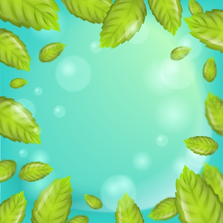 Realistic Illustration Mint Leaves on Green Background. 3d Vector image with Frame Fresh Mint Leaves. Using Fragrant Plant in different directions. Advertising place in any variationsのイラスト素材