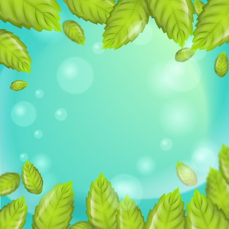 3d Vector image Mint Leaves Falling in Sunshine. Fresh Mint Leaves with Cooling Formula for Sparkling Shining White Healthy Clean Teeth on Green Background. Advertising Place in any variationsのイラスト素材