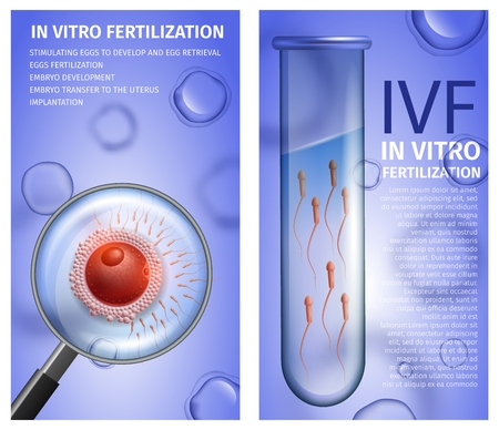 In Vitro Fertilization Vertical Medical Banners with Copy Space. Male Test Tube with Active Spermatozoons, Magnifier View on Female Egg Cell on Blue Background. IVF. Vector Realistic Illustrationのイラスト素材