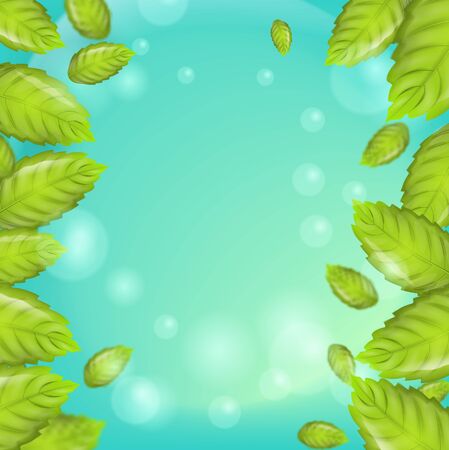 Realistic Illustration Fresh Mint Leaves on Green Background. Frame with vertical Mint Leaves on Banner, Brochure or Flyer Advertising purposes.のイラスト素材