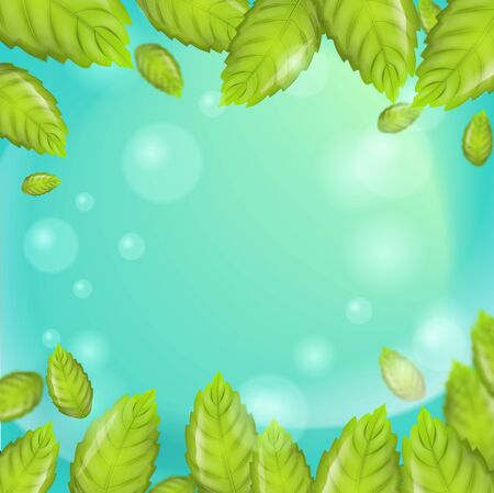 3d Vector image Mint Leaves Falling in Sunshine. Fresh Mint Leaves with Cooling Formula for Sparkling Shining White Healthy Clean Teeth on Green Background. Advertising Place in any variationsのイラスト素材
