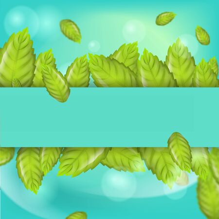 Realistic Illustration Fresh Mint Leaves on Green Background. Horizontal Arrangement Mint Leaves on Banner or Brochure Advertising purposes. 3d Vector image Mint Leaves in sunshineのイラスト素材