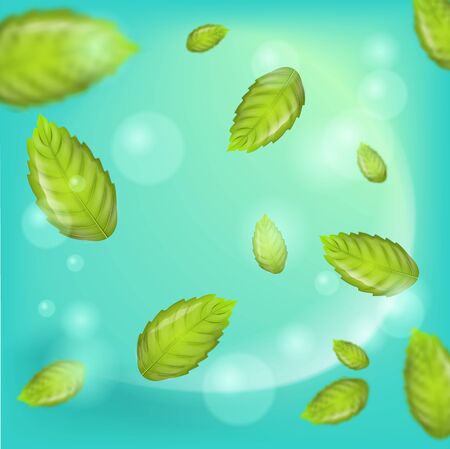 Realistic Illustration Flying Mint Leaf Vector. 3d image Fresh Mint Leaves on Green Background. Refreshing and Cool Effect Products with Addition Mint. Place for Advertising in different variationsのイラスト素材