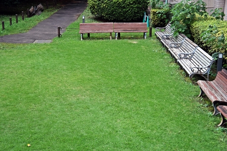 Grass with Benchの写真素材