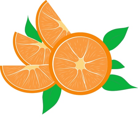 Juicy orange with slice and leavesのイラスト素材