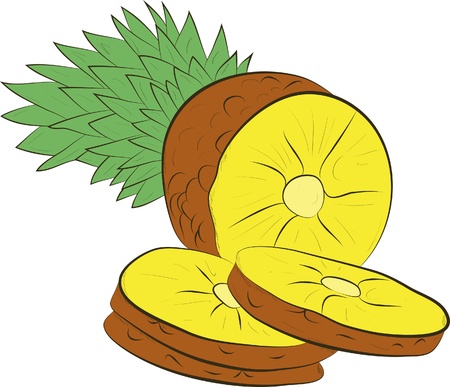 Fresh pineapple with slices isolated on whiteのイラスト素材