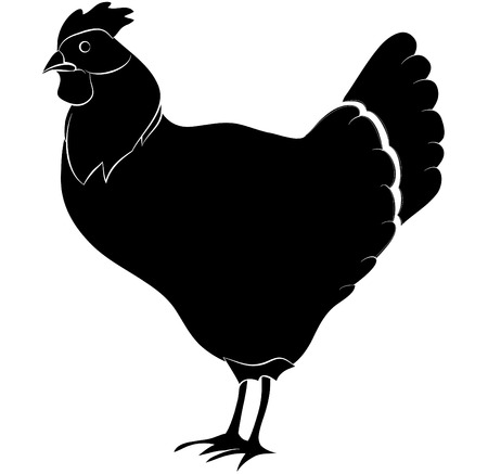 chicken on white backgroundのイラスト素材