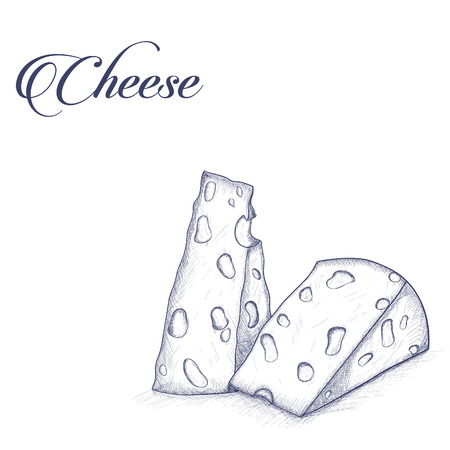 Vintage  cheese in sketch styleのイラスト素材