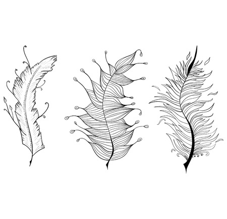 Illustration of a set of feathers graphic styleのイラスト素材