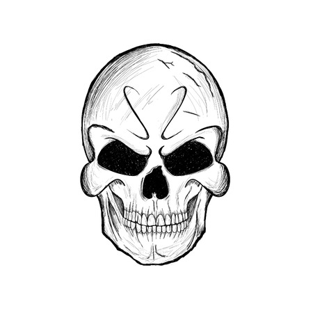 Skull sketch.Human skull Hand-drawnのイラスト素材