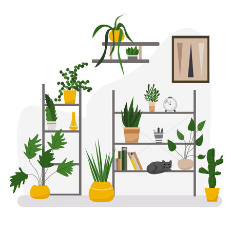White living room interior design with posters and shelves, cat, indoor plants. Vector flat illustration.のイラスト素材