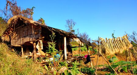 the hut in hillの写真素材
