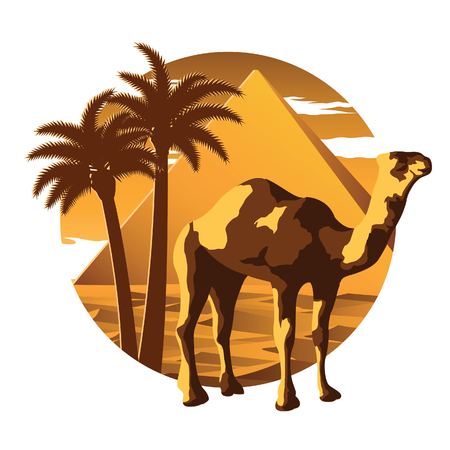 camel,Pyramid and desert famous landmark and symbol of Egypt,for cloth and web design,vintage color,vector illustrationのイラスト素材