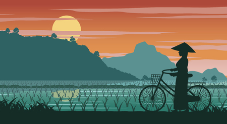 Vietnamese woman hold bicycle walk pass rice field on sunset time,vector illustrationのイラスト素材