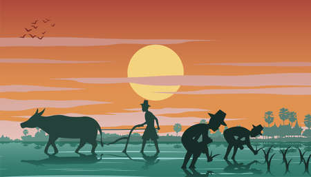 country life of farmer plant rice and another plow field by buffalo ,vector illustrationのイラスト素材