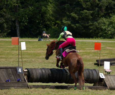 Horse and rider taking jump in steeplechase