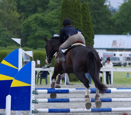 Horse and rider taking jump at local showjumping competitionの写真素材