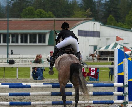 Horse and rider taking jump at local show jumping competitionの写真素材
