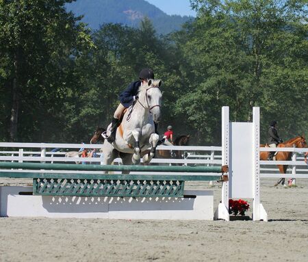 Horse and rider taking jump at local show jumping competitionの写真素材
