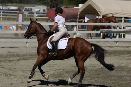 horse and rider ready to competeの写真素材