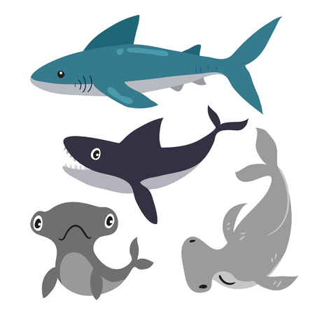 shark vector collection design, marine life vector collection designのイラスト素材