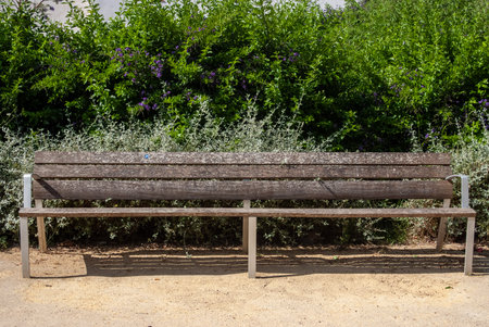 Wooden bench in the park with bushes in the background, nobodyの写真素材