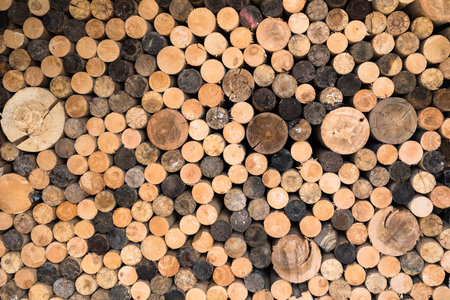 Pile of fire wood, aspen and birchの写真素材