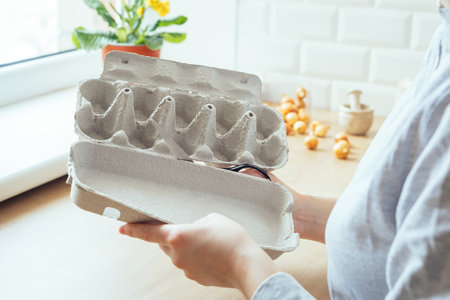 Reusing a cardboard egg carton for planting at home. Step by step tutorial for a windowsill gardenの写真素材