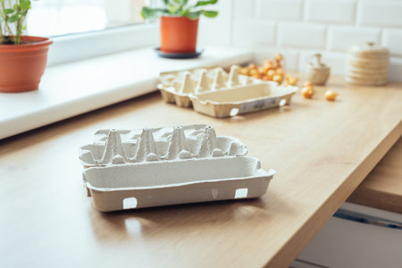Reusing a cardboard egg carton for planting at home. Step by step tutorialの写真素材