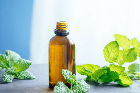 Mint or peppermint essential oil in a glass bottle used as an alternative medicine in aromatherapy or diluted in a carrier oil directly on skinの写真素材
