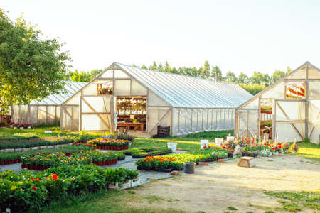 A potted flower nursery with wooden greenhouses and a flower market place in a rural areaの写真素材