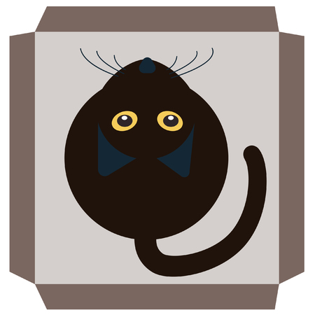 Black cat in the box is looking for ownersのイラスト素材