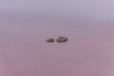 Stones in the pink lake of Torrevieja, Spainの写真素材