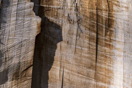 Abstract photography background with texture. Macro photography of nature that creates a greater...