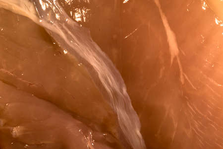 close up of a raw chicken fillet, from very close you see the tendons