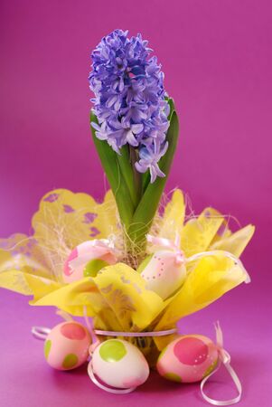 hyacinth in easter decorationの写真素材