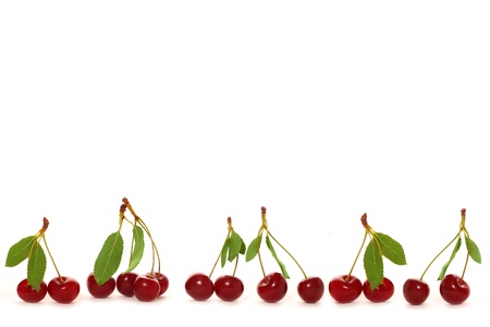 fresh cherries in row isolated on white as border