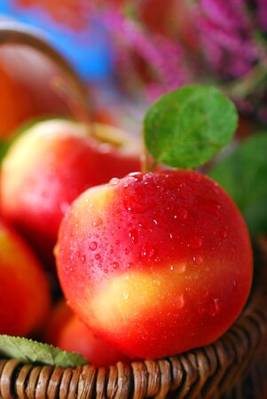 fresh red apples with water drops in wicker basketの写真素材