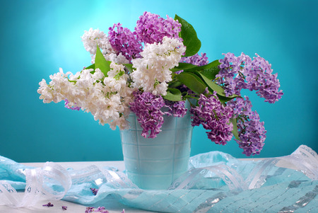 bunch of fresh white and purple lilac flowers in vase on blue background の写真素材