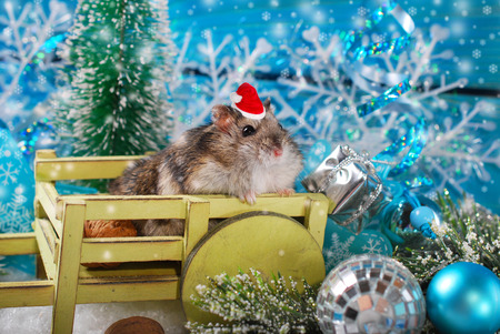 little hamster in santa hat sitting in wooden cart waiting for christmasの写真素材