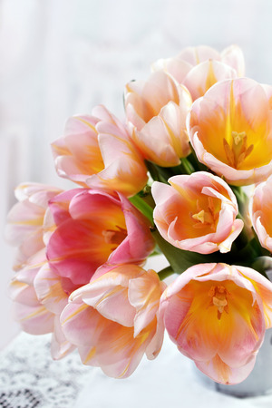 closeup of a bunch of beautiful pink-yellow tulipsの写真素材