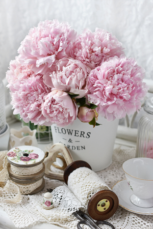 bunch of pink peony flowers in metal bucket in shabby chic style interiorの写真素材
