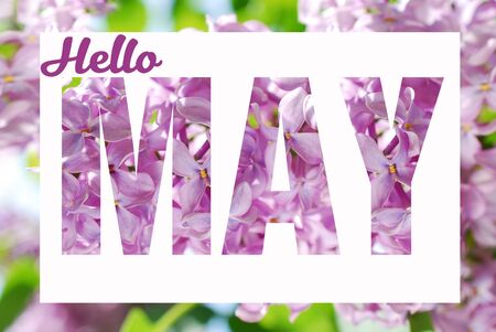 hello May  background with  inscription cutout of  lilac flower's branch and frame around the pictureの写真素材